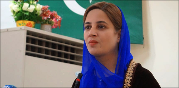 ہم سب کو ملکر وزیراعظم کے وژن کا حصہ بننا چاہیے ، زرتاج گل