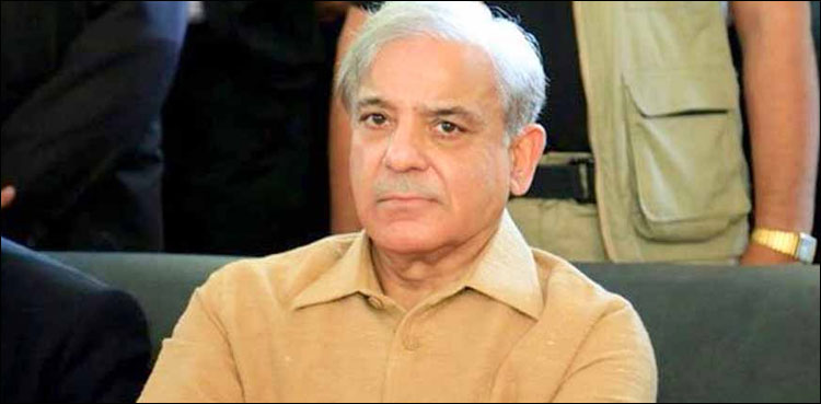 اثاثہ جات کیس : نیب  نے شہباز شریف کے پورے خاندان کو بیان کیلئے طلب کر لیا