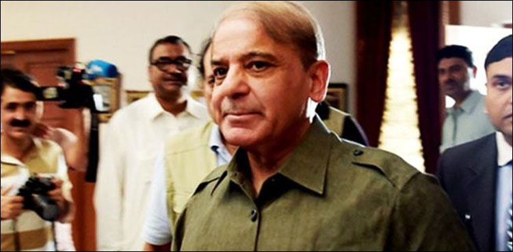 نیب نے شہباز شریف کی اہلیہ اور بیٹیوں کو سوالنامہ بھجوادیا