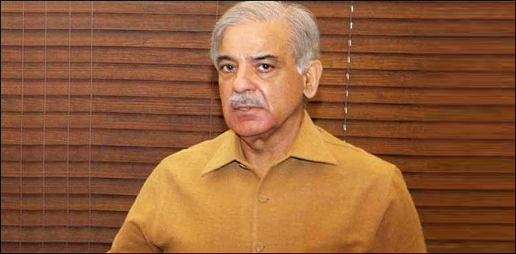 شہباز شریف کا حکومت سے پیٹرول اور ڈیزل کی قیمتوں میں ہوشربا اضافہ واپس لینے کا مطالبہ