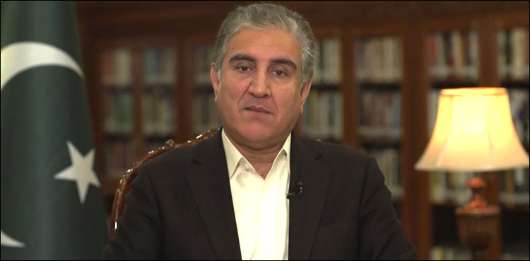 وزیرخارجہ شاہ محمودقریشی نے پراپرٹی ٹیکس ادا کردیا