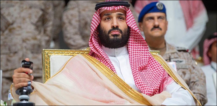سعودی ولی عہد محمد بن سلمان نے  پہلے "ہاک” تربیتی طیارے کا افتتاح کردیا