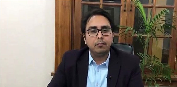 حمزہ شہباز نیب حکام کو گرفتاری دیں دیوار کےپیچھے نہ چھپیں ،شہبازگل