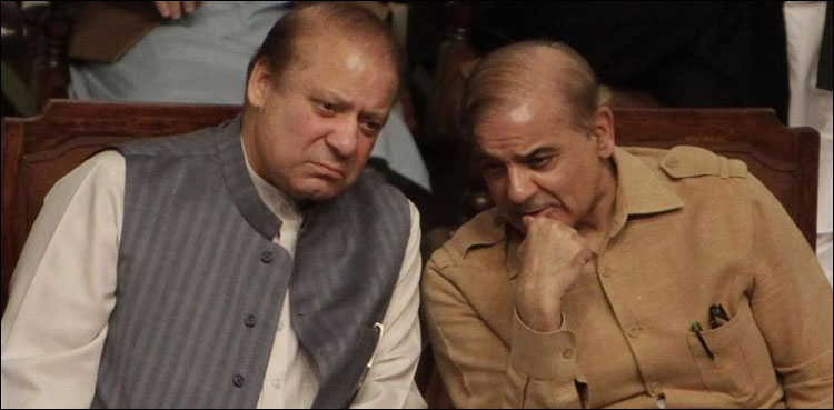 مسلم لیگ ن نے حکومت کے خلاف عید کے بعد سڑکوں پر آنے کا عندیہ دے دیا