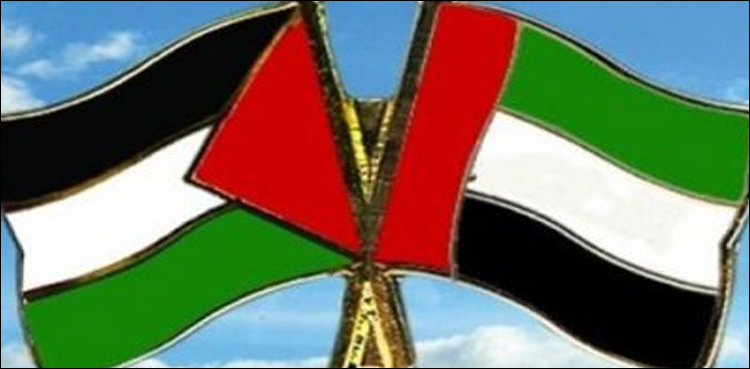امید ہے فوجی کونسل عوامی امنگوں کی ترجمان ثابت ہوگی، یو اے ای