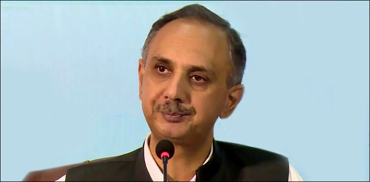 300 یونٹ کے 75 فی صد گھریلو صارفین پر بجلی کی اضافی قیمتوں کا بوجھ نہیں آئے گا: عمر ایوب