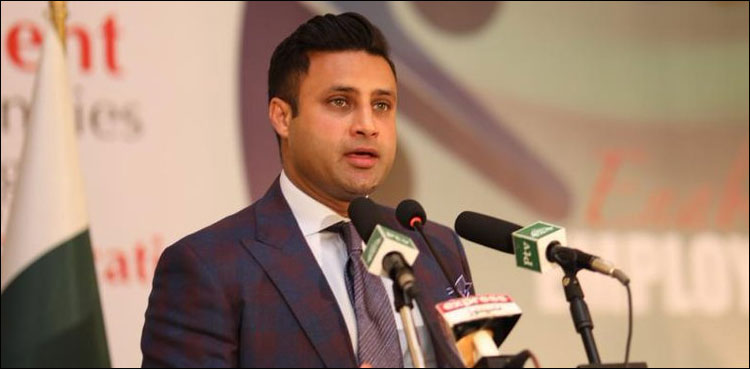 ٹیکنالوجی میں بڑی سرمایہ کاری، مائیکرو سافٹ سے بات چیت چل رہی ہے: زلفی بخاری