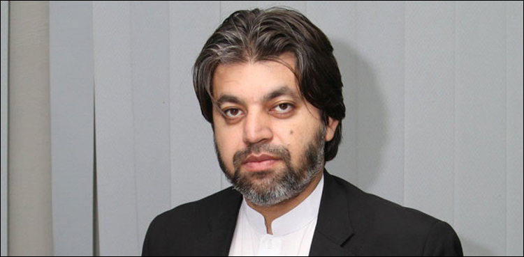 حکومت معیشت مستحکم بنانےکےلیے ٹھوس اقدامات کررہی ہے، علی محمد خان