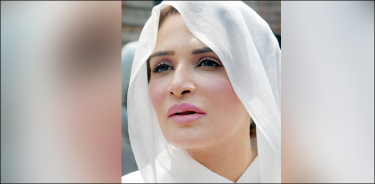 حمزہ شہباز کی بیوی ہونے کی دعویدار عائشہ احد کی 3مئی کونیب میں طلبی، نوٹس موصول