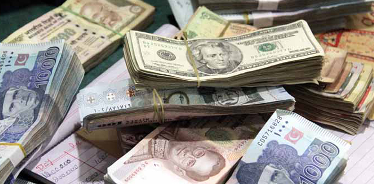 روپے کی مسلسل بے قدری معیشت کے لیے تشویشناک ہے، پاکستان اکانومی واچ
