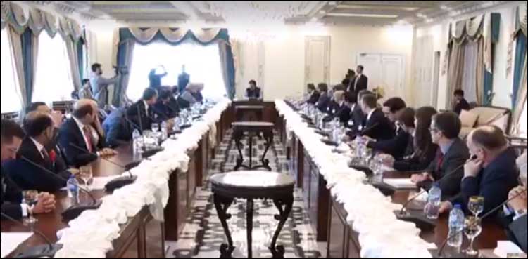 وزیر اعظم عمران خان سے فرانسیسی کاروباری تنظیم کے وفد کی ملاقات