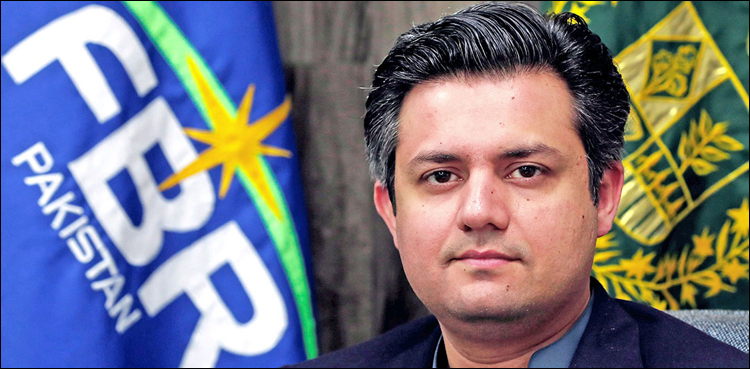 حکومت اگلے ماہ سے ٹیکس نادہندگان کے خلاف کارروائی شروع کرے گی، حماد اظہر