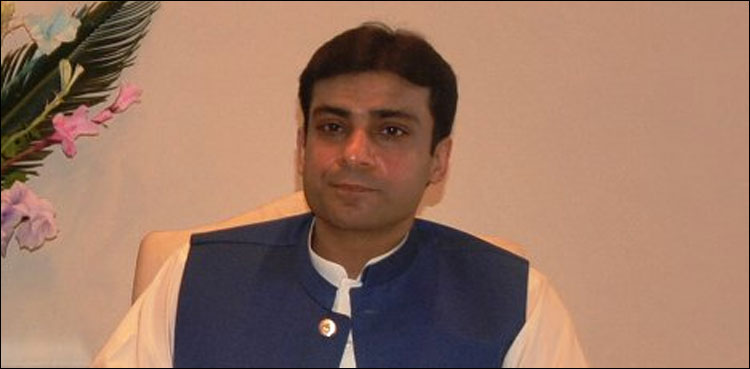 حمزہ شہباز نے نیب کے وارنٹ گرفتاری کو لاہور ہائی کورٹ میں چیلنج کردیا