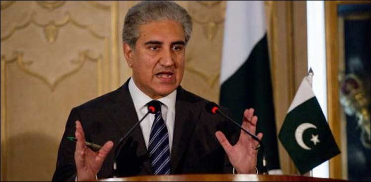 جاپانی قیادت سے ایف اے ٹی ایف کے معاملے پر تفصیلی گفتگو ہوئی: شاہ محمود