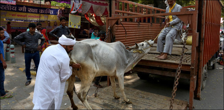 بھارت کے انتہا پسند بے قابو، مردہ گائے کی کھال اتارنے پر عیسائی قتل، 2 زخمی