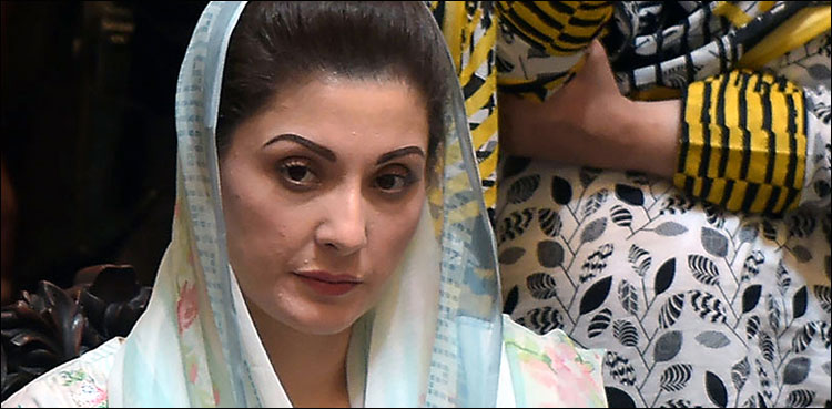 رانا ثنا اللہ کو دلیرانہ موقف کی وجہ سے گرفتار کیا گیا، مریم نواز کا ٹویٹ