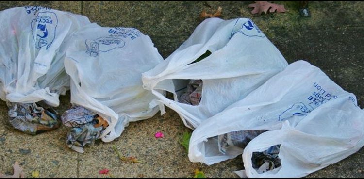 لاہورمیں صفائی مہم : پنجاب میں پولی تھین بیگز پر پابندی لگانے کا فیصلہ