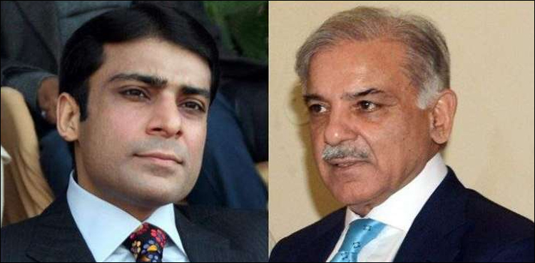 شہباز شریف فیملی منی لانڈرنگ کیس، ایف آئی اے نے بڑا الزام عائد کردیا
