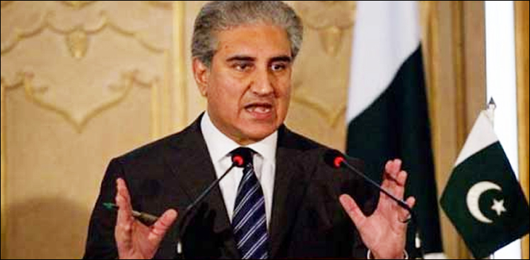 پاکستان میں دہشت گردی میں بھارت کا ملوث ہونا کسی سے ڈھکا چھپا نہیں، وزیر خارجہ