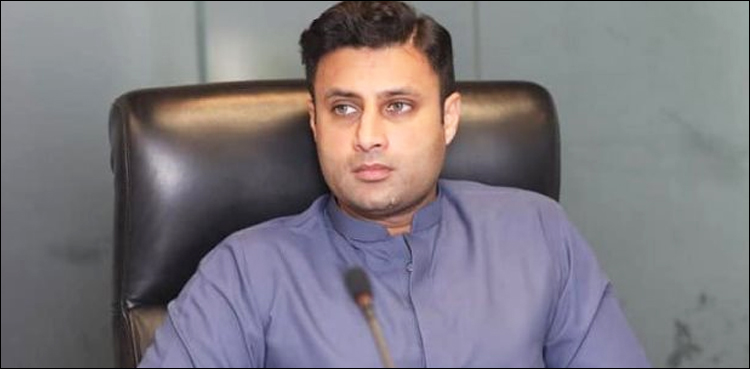 حکومت تاجروں کے مسائل حل کرے گی: زلفی بخاری