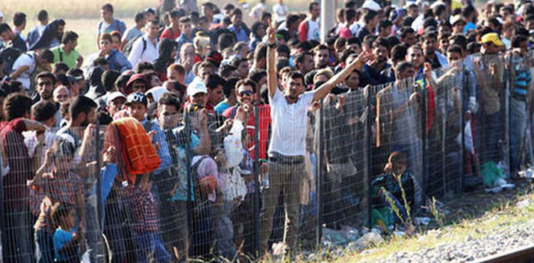 Migrants