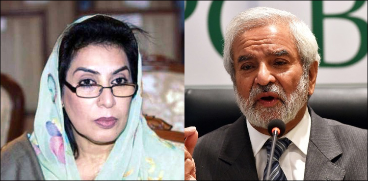 فہمیدہ مرزا، احسان مانی ملاقات،  کھیلوں میں سیاسی مداخلت کے خاتمے کا فیصلہ