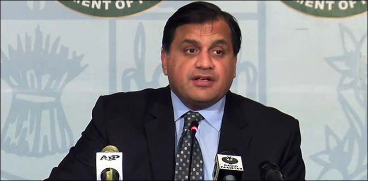 پاکستان کی جانب سے روسی طیارے کے حادثے پرافسوس کا اظہار