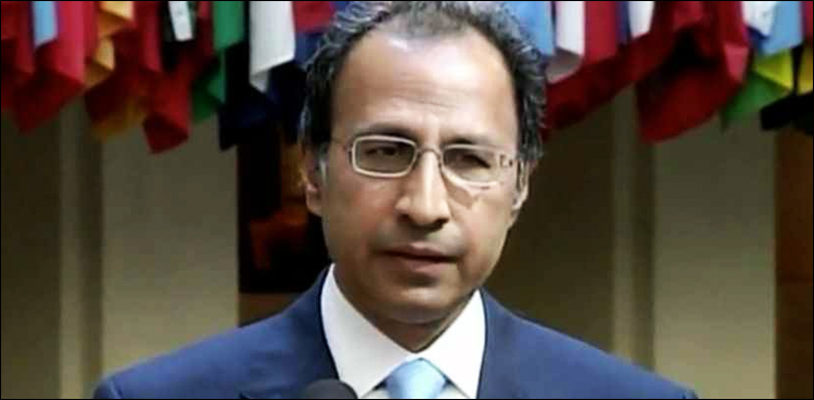 بجٹ میں ٹیکس کا بوجھ کم کرنےکی کوشش کریں گے، وزیرخزانہ