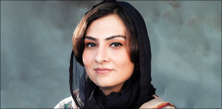 فیاض الحسن چوہان نے مافیا کی جو تعریف بیان کی وہ ٹھیک ہے، ماروی میمن