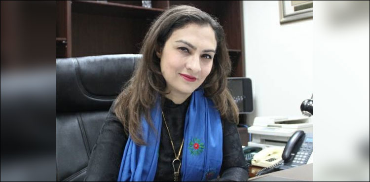 طارق باجوہ کی برطرفی بارش کا پہلا قطرہ ہے، ماروی میمن
