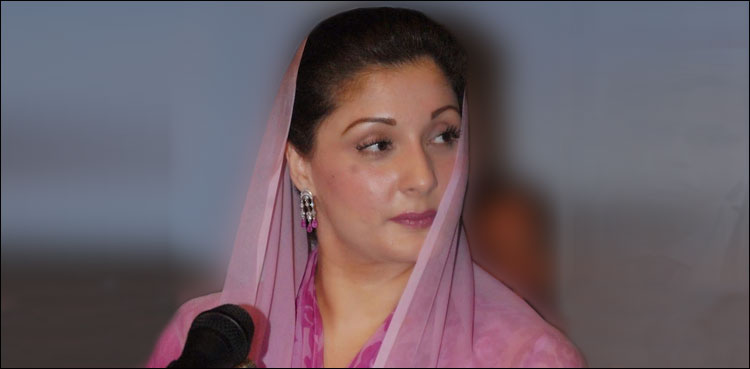 پی ٹی آئی نے مریم نواز کو ن لیگ کا نائب صدر بنانے کا فیصلہ چیلنج کردیا