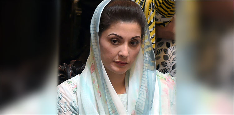 مریم نواز کو پارٹی عہدہ دینے کیخلاف پی ٹی آئی کی درخواست سماعت کے لیے منظور