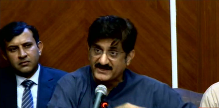 سندھ کو اسکیموں میں جائز حصہ نہیں دیا گیا: وزیر اعلیٰ سندھ کی این ای سی فیصلوں پر تنقید