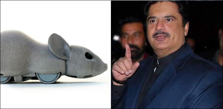 حکومت مخالفین کی جاسوسی کے لیے روبوٹ چوہے استعمال کر رہی ہے: نبیل گبول کا عجیب دعویٰ