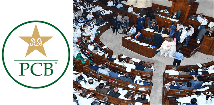 کرکٹ ٹیم کی ناقص کارکردگی، پنجاب اسمبلی میں پی سی بی عہدیداران کیخلاف قرارداد جمع