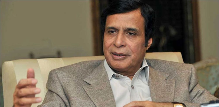رجب طیب اردگان کے فیصلے سے خلافت عثمانیہ کے دور کی یاد تازہ ہوگئی، پرویز الہیٰ