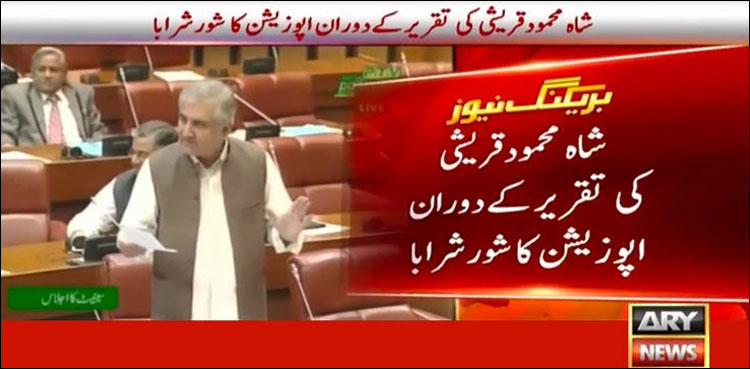 دوست ممالک کی امداد کے باوجود آئی ایم ایف کے پاس جانا پڑا: وزیر خارجہ