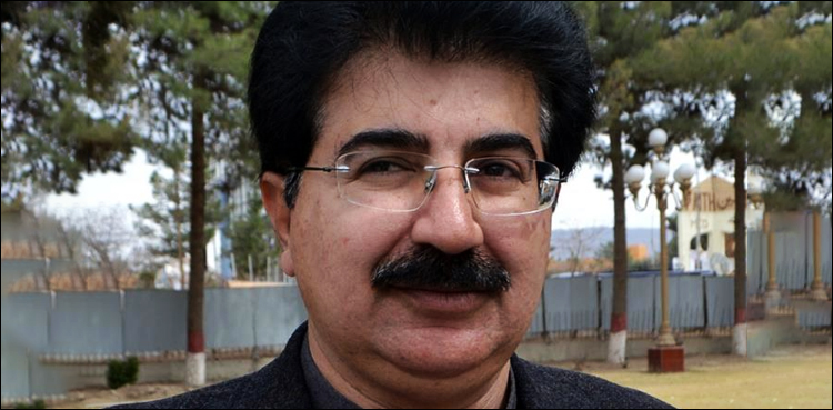 صادق سنجرانی نے سینیٹ کی کرکٹ ٹیم تشکیل دے دی، کپتان کون ہوگا؟