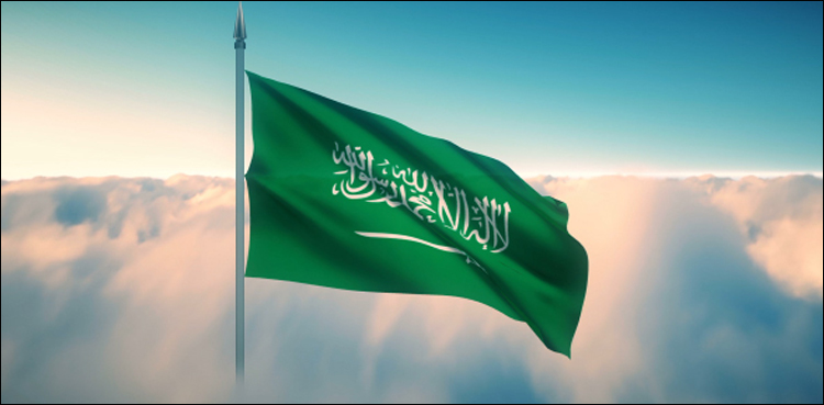 سعودی عرب نے غیر ملکی ملازمین کیلئے ویزوں میں 72 فیصد کمی کردی