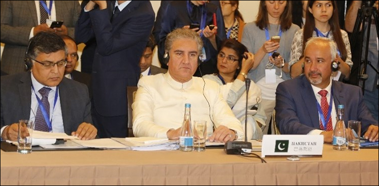 جنوبی ایشیا میں پائیدار امن کے لیے خطے میں استحکام ضروری ہے: وزیر خارجہ کا ایس سی او اجلاس سے خطاب