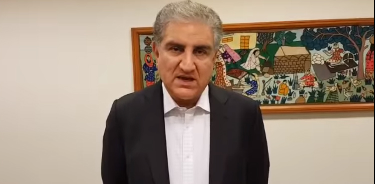موجودہ حکومت ملک میں کاروباری سرگرمیوں کو فروغ دے رہی ہے: شاہ محمود