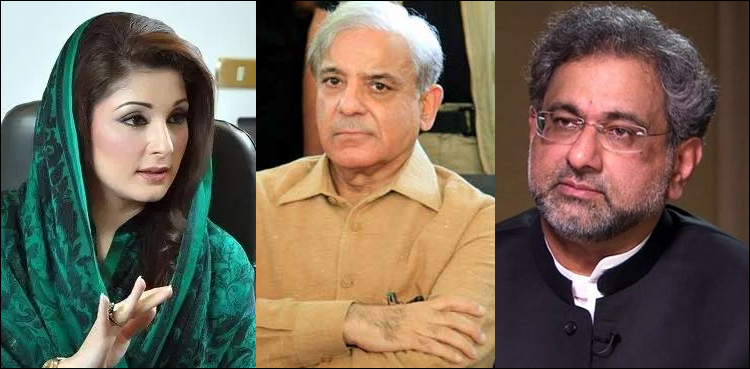 شہباز شریف نے پارٹی عہدے داروں کے ناموں کا اعلان کر دیا، مریم نواز نائب صدر مقرر