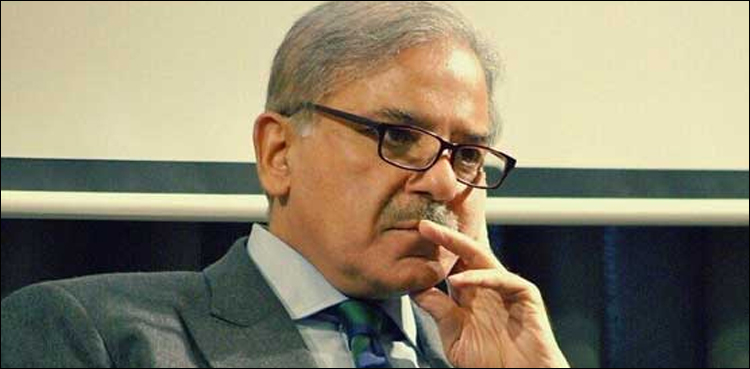 نیب نے شہباز شریف کو آج طلب کرلیا