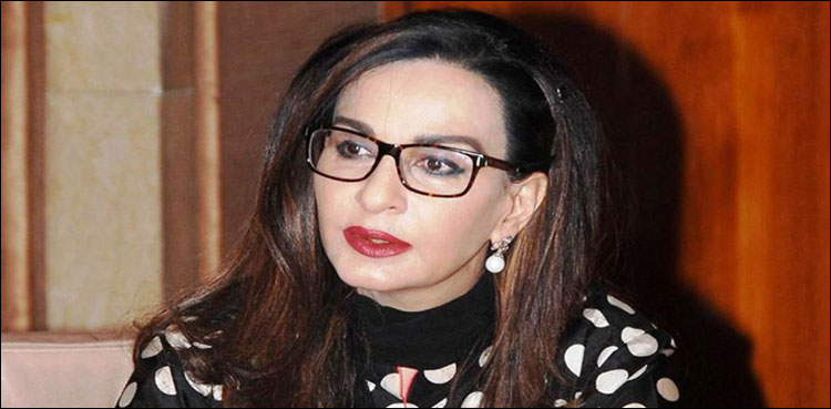شیری رحمان کا آصف زرداری کے پروڈکشن آرڈر کا مطالبہ، پی پی عوامی رابطہ مہم کے لیے سرگرم