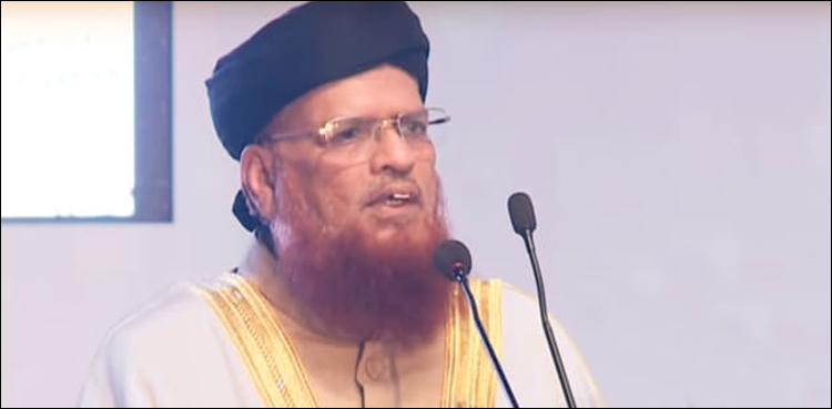 موجودہ حالات میں ڈالر خرید کر قیمت بڑھنے پر بیچناشرعاً گناہ ہے، مفتی تقی عثمانی