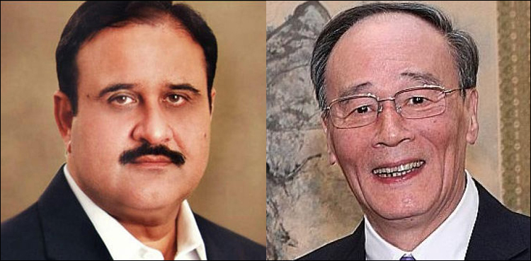 غربت کے خاتمے کے لئے چین کے ماڈل کو پنجاب میں نافذ کریں گے، عثمان بزدار