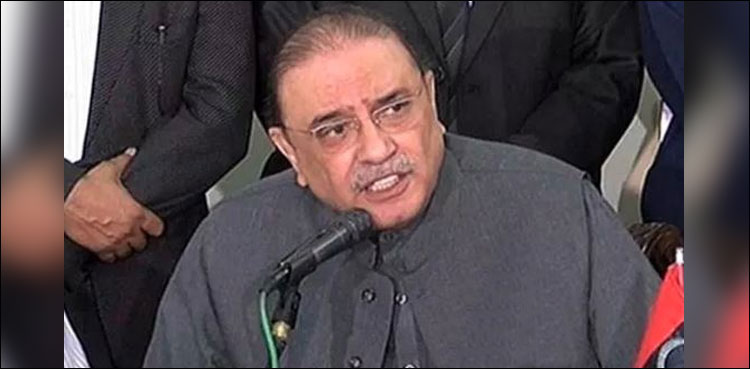 ہارش کمپنی کیس : آصف زرداری کی نیب میں پیشی سے معذرت، مہلت مانگ لی