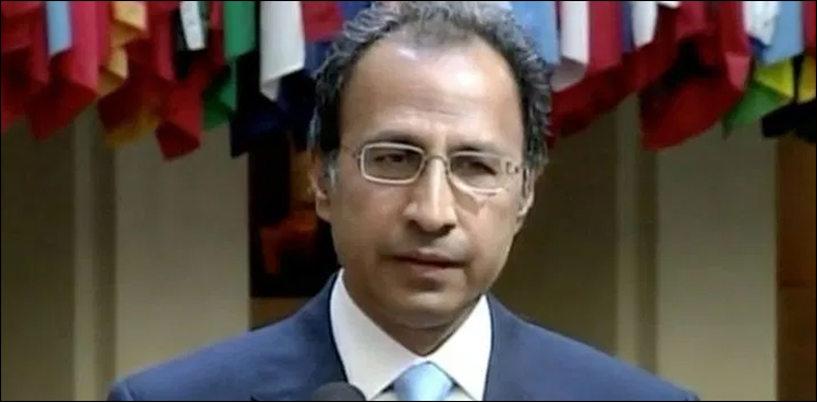 جو شخص بھی کما رہا ہے اس سے ٹیکس لینا چاہتے ہیں، مشیر خزانہ