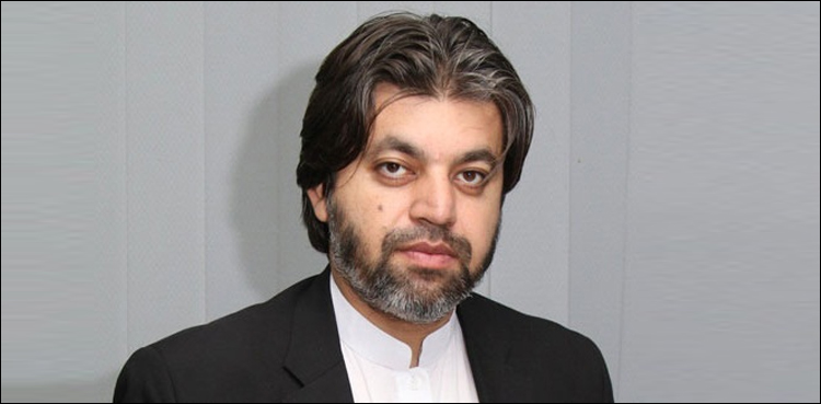 اپوزیشن جہاں جلسہ کرنا چاہتی ہے کرے، ہم نہیں روکیں گے: علی محمد خان