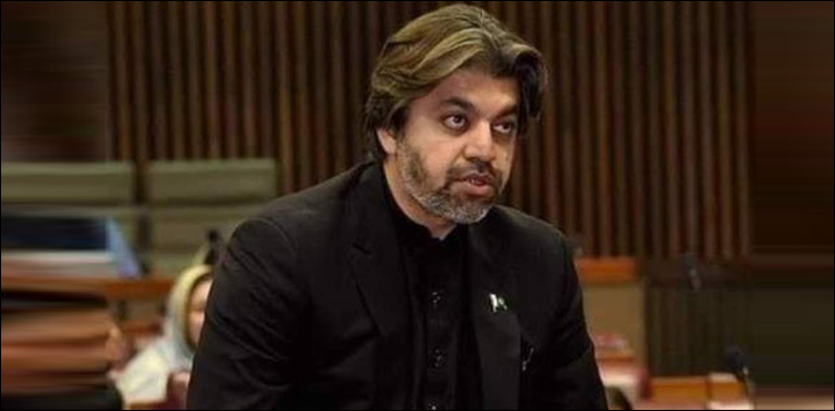 وزیر مملکت  علی محمد خان کا محسن داوڑاورعلی وزیرکی بنیادی رکنیت معطل کرنے کا مطالبہ